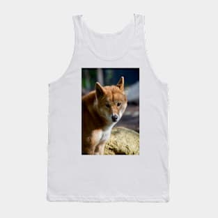 Dingo Close Up Tank Top